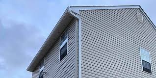 Best Historical Building Siding Restoration  in Troup, TX